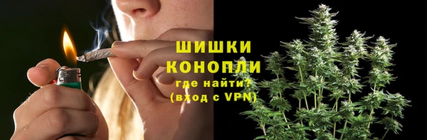 ПСИЛОЦИБИНОВЫЕ ГРИБЫ Балабаново