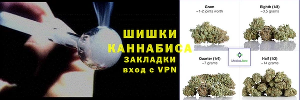 ПСИЛОЦИБИНОВЫЕ ГРИБЫ Балабаново