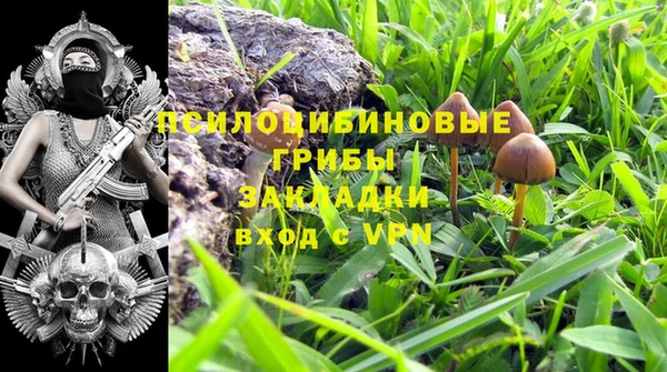 ешки Балахна