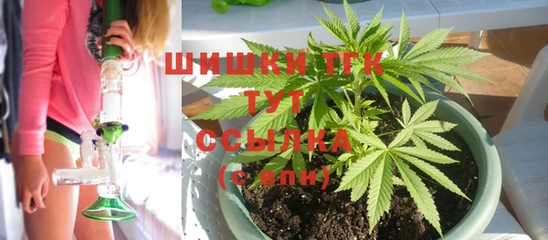 ПСИЛОЦИБИНОВЫЕ ГРИБЫ Балабаново