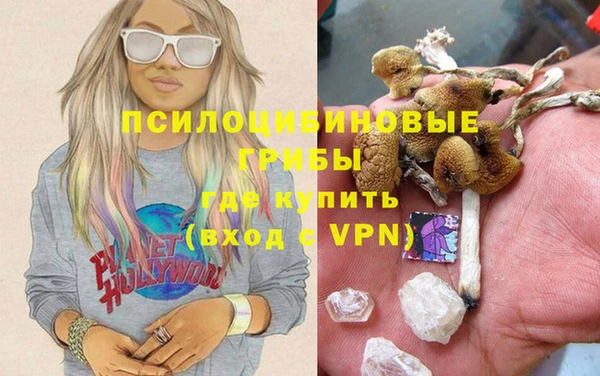 ешки Балахна