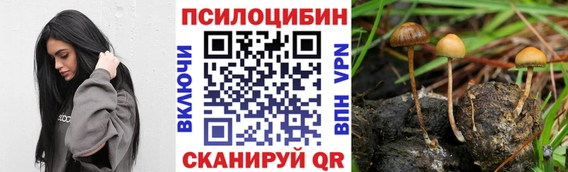 Галлюциногенные грибы ЛСД  наркота  Беслан 